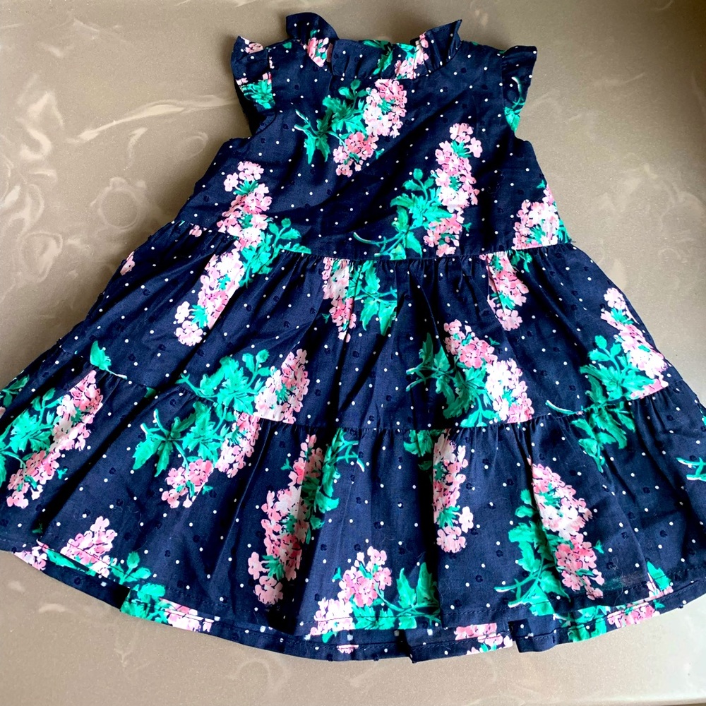 NWT Janie & Jack floral spring dress